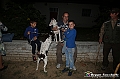 VBS_0182 - Inaugurazione stagione raccolta tartufi 2023-24 con Ricerca simulata tartufi